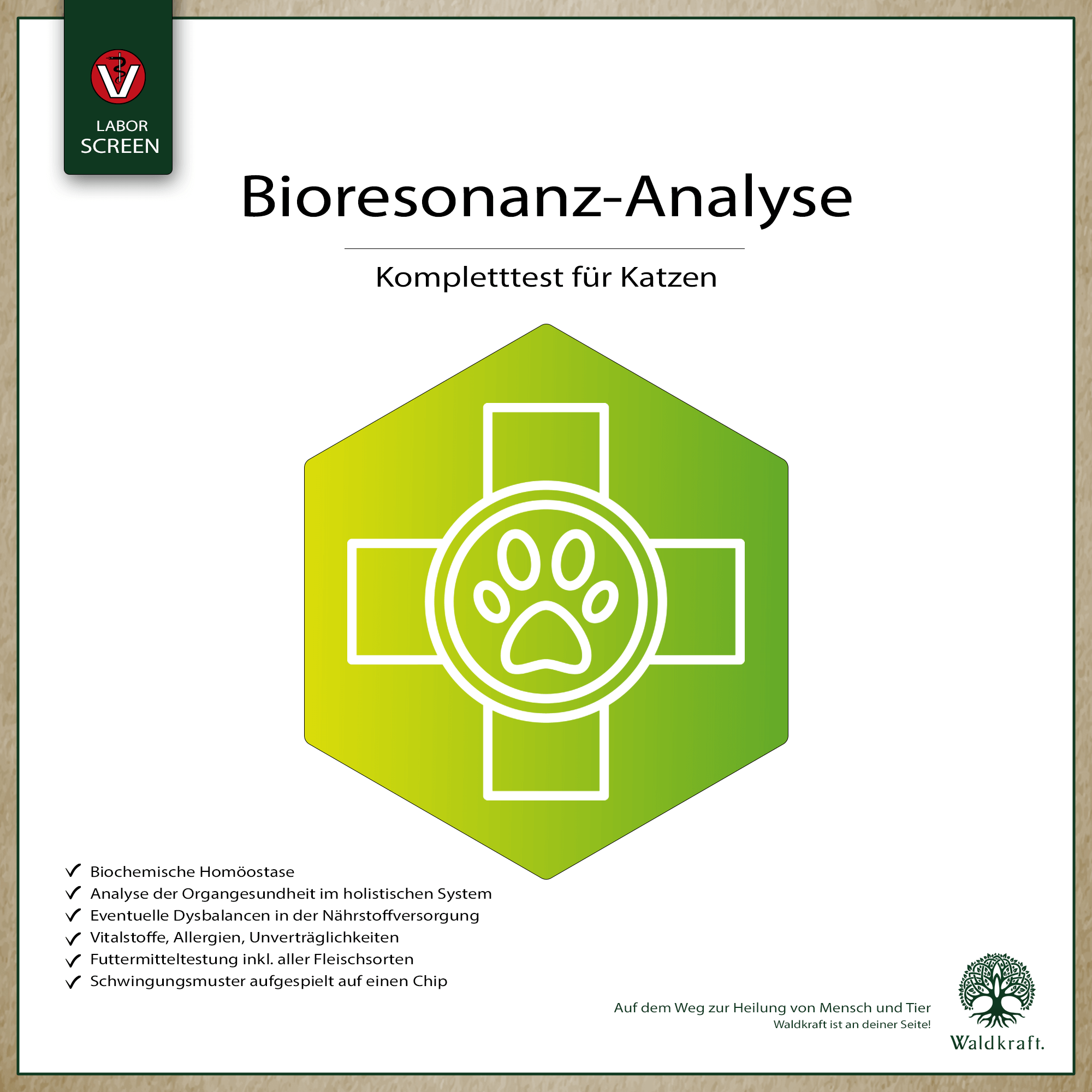Bioresonanz-Analyse Katze