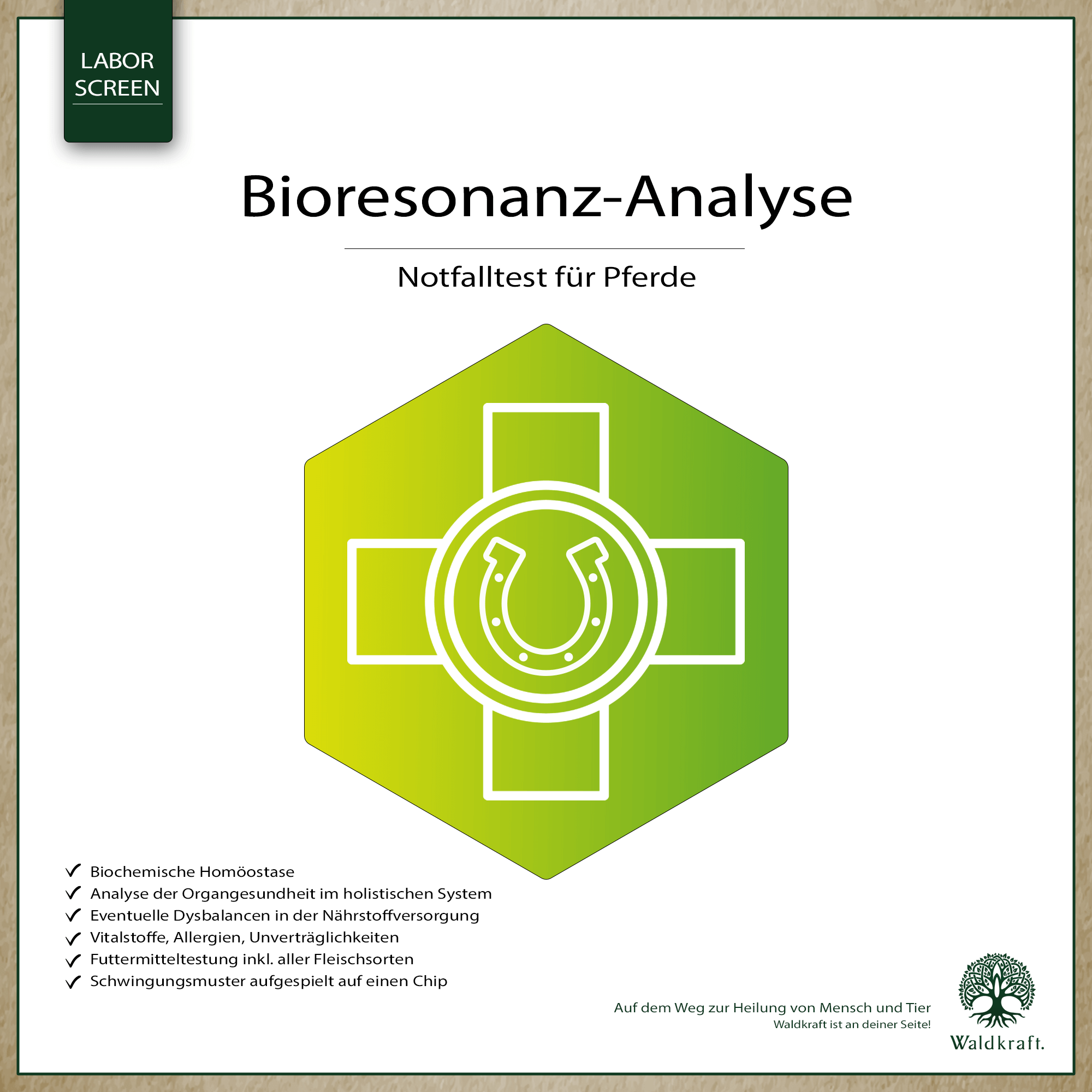 Bioresonanz-Analyse Pferd Notfall